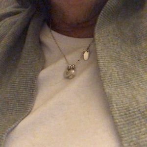 Meet your Posher, Sandy